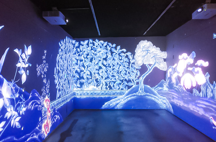 projector 이미지2